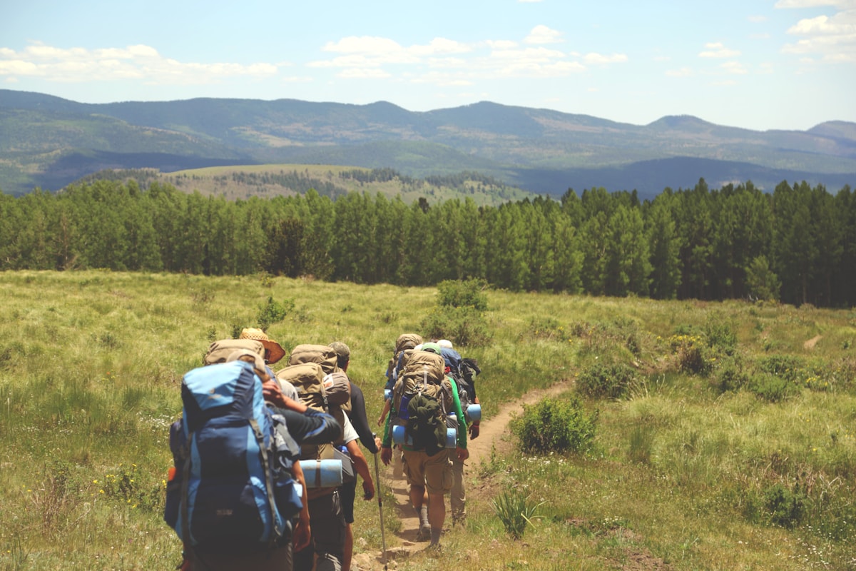 Small guided hiking group on a trail